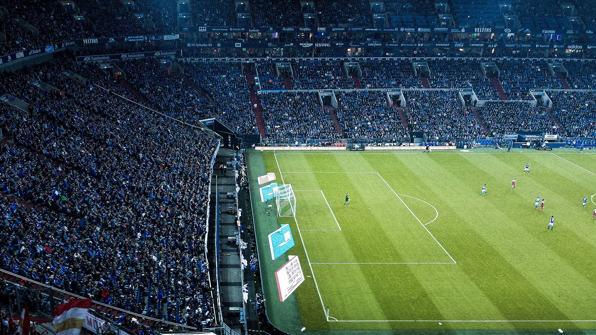 公牛队新秀状态火热,备战新赛季,公牛队现役首发阵容