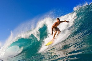 华体会入口-公牛队新援火力全开，球队士气高昂，公牛队最新阵容名单